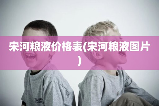 宋河粮液价格表(宋河粮液图片)