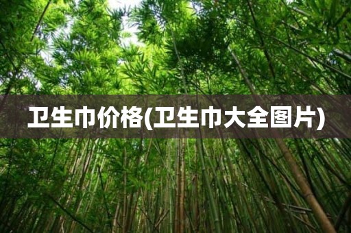 卫生巾价格(卫生巾大全图片)