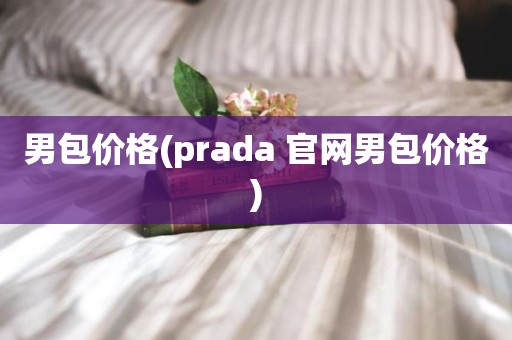 男包价格(prada 官网男包价格)