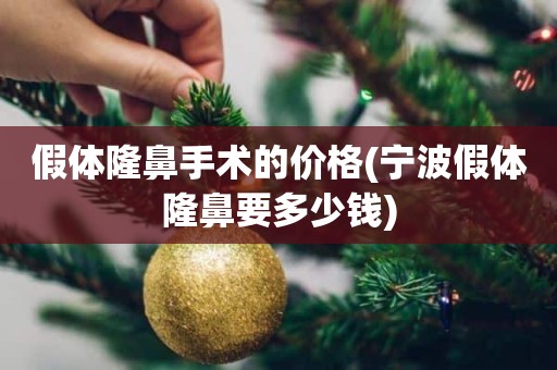 假体隆鼻手术的价格(宁波假体隆鼻要多少钱)