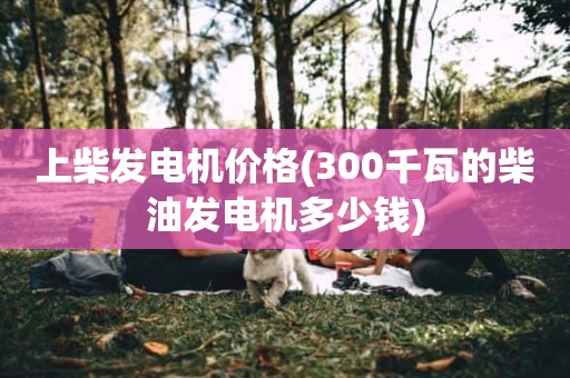 上柴发电机价格(300千瓦的柴油发电机多少钱)