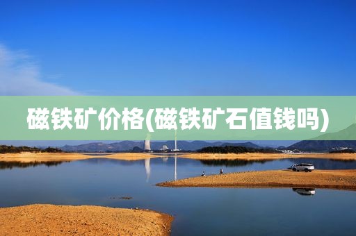 磁铁矿价格(磁铁矿石值钱吗)