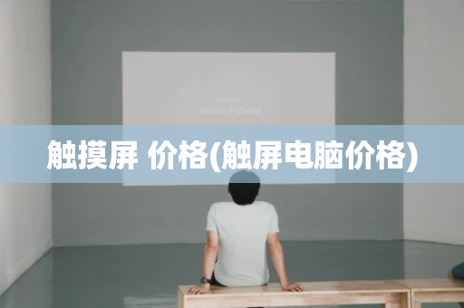触摸屏 价格(触屏电脑价格)