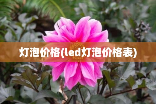 灯泡价格(led灯泡价格表)