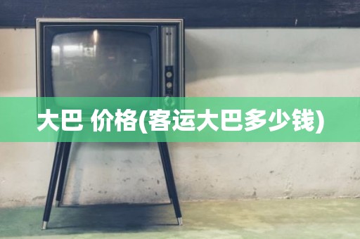 大巴 价格(客运大巴多少钱)
