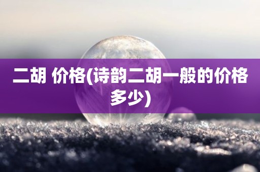 二胡 价格(诗韵二胡一般的价格多少)