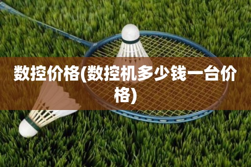 数控价格(数控机多少钱一台价格)