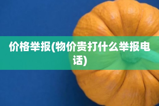 价格举报(物价贵打什么举报电话)