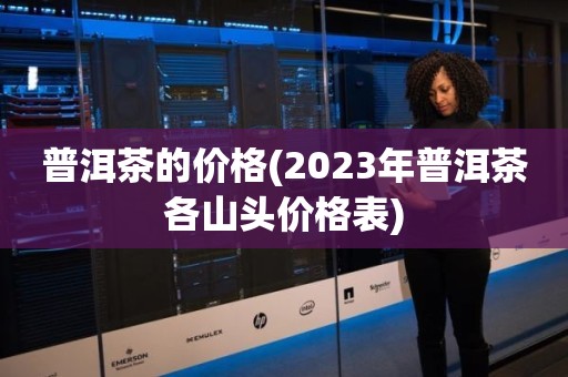 普洱茶的价格(2023年普洱茶各山头价格表)