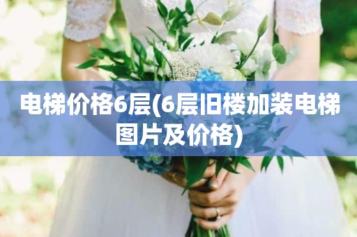 电梯价格6层(6层旧楼加装电梯图片及价格)