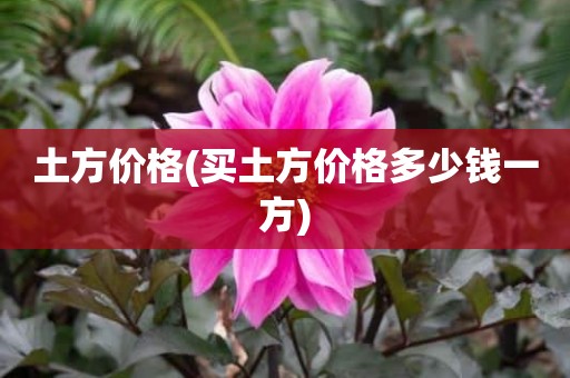 土方价格(买土方价格多少钱一方)