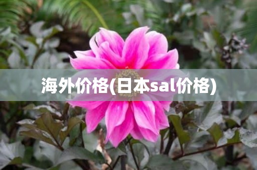 海外价格(日本sal价格)