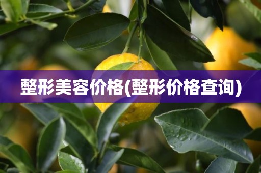 整形美容价格(整形价格查询)