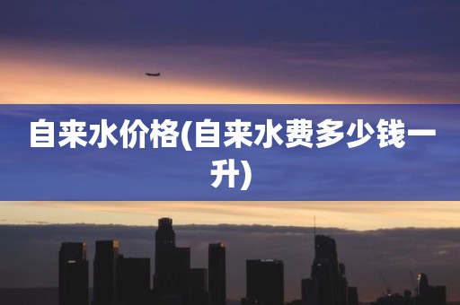 自来水价格(自来水费多少钱一升)