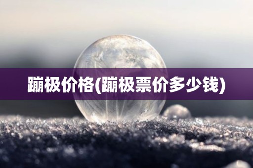 蹦极价格(蹦极票价多少钱)