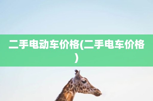 二手电动车价格(二手电车价格)