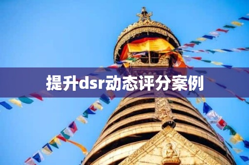 提升dsr动态评分案例