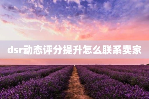 dsr动态评分提升怎么联系卖家