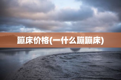蹦床价格(一什么蹦蹦床)