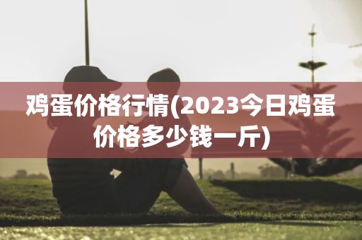鸡蛋价格行情(2023今日鸡蛋价格多少钱一斤)