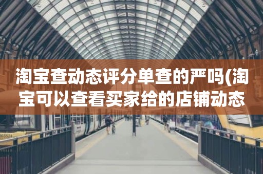 淘宝查动态评分单查的严吗(淘宝可以查看买家给的店铺动态评分吗)