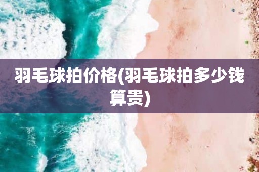 羽毛球拍价格(羽毛球拍多少钱算贵)