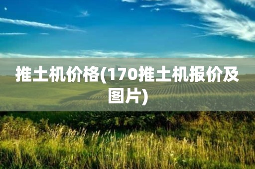 推土机价格(170推土机报价及图片)