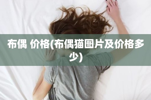 布偶 价格(布偶猫图片及价格多少)