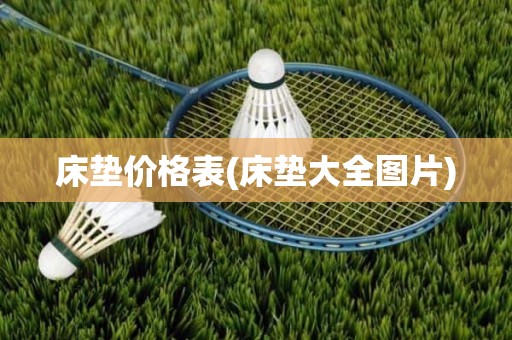 床垫价格表(床垫大全图片)
