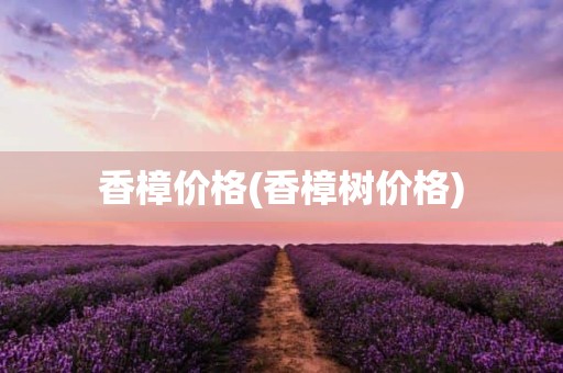 香樟价格(香樟树价格)