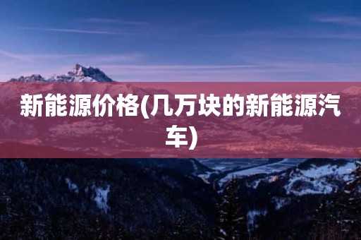 新能源价格(几万块的新能源汽车)