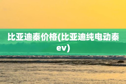 比亚迪秦价格(比亚迪纯电动秦ev)