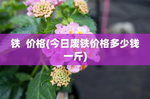 铁  价格(今日废铁价格多少钱一斤)
