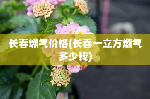长春燃气价格(长春一立方燃气多少钱)
