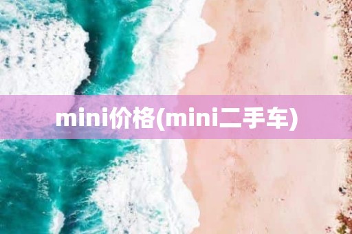 mini价格(mini二手车)