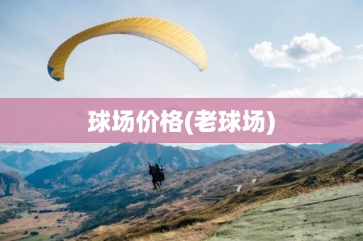 球场价格(老球场)