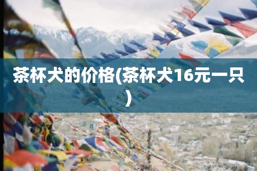茶杯犬的价格(茶杯犬16元一只)