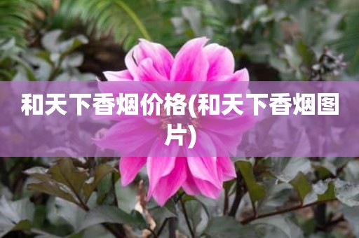 和天下香烟价格(和天下香烟图片)