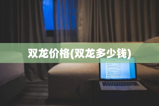 双龙价格(双龙多少钱)