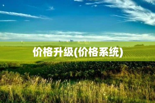 价格升级(价格系统)