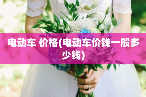 电动车 价格(电动车价钱一般多少钱)