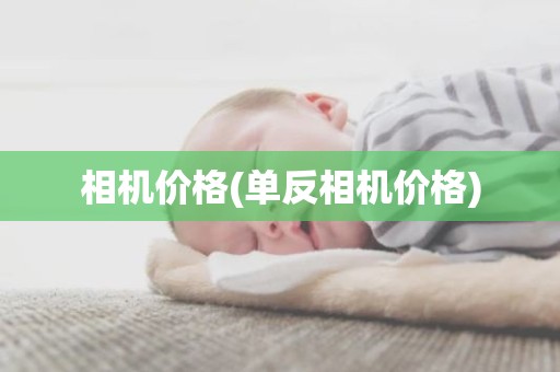 相机价格(单反相机价格)