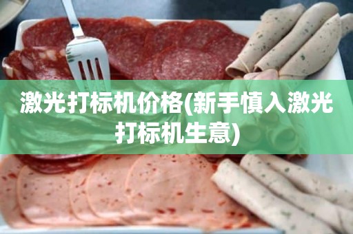 激光打标机价格(新手慎入激光打标机生意)