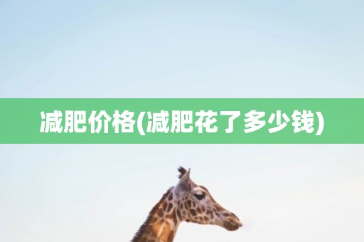 减肥价格(减肥花了多少钱)