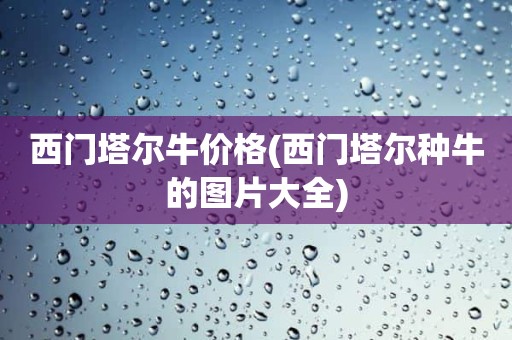 西门塔尔牛价格(西门塔尔种牛的图片大全)