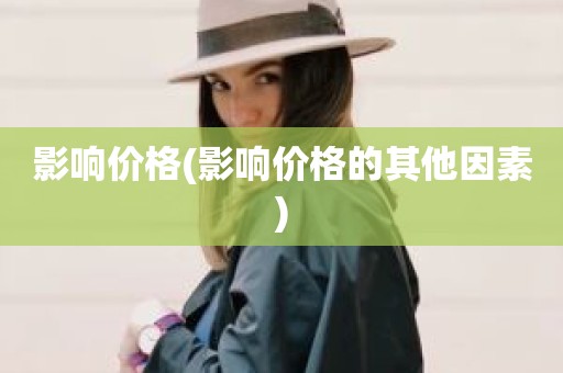 影响价格(影响价格的其他因素)