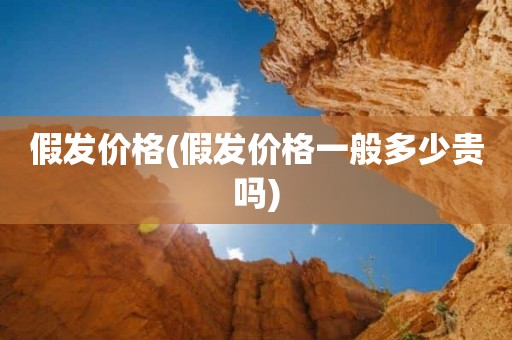 假发价格(假发价格一般多少贵吗)