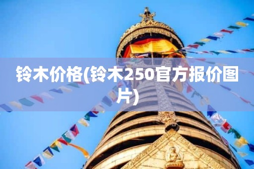 铃木价格(铃木250官方报价图片)