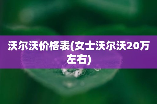 沃尔沃价格表(女士沃尔沃20万左右)