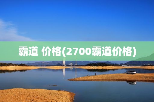 霸道 价格(2700霸道价格)